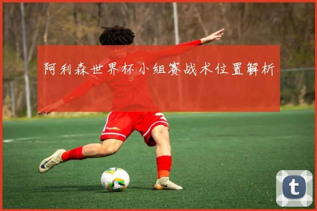 阿利森世界杯小组赛战术位置解析