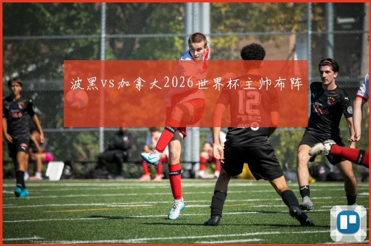 波黑vs加拿大2026世界杯主帅布阵