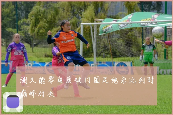 谢文能零角度破门国足绝杀比利时巅峰对决