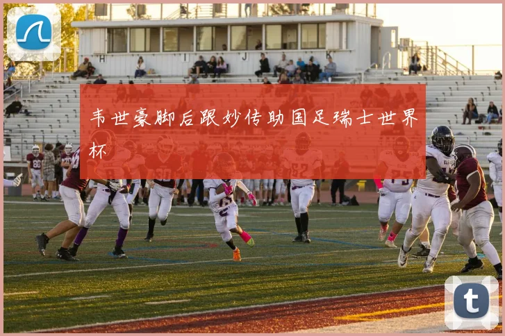 韦世豪脚后跟妙传助国足瑞士世界杯