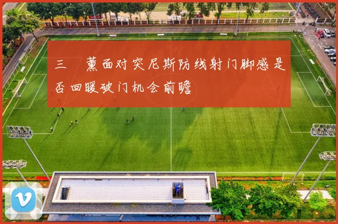 三笘薰面对突尼斯防线射门脚感是否回暖破门机会前瞻