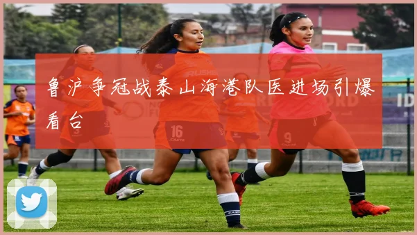 鲁沪争冠战泰山海港队医进场引爆看台