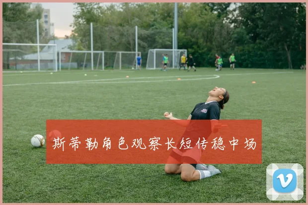 斯蒂勒角色观察长短传稳中场